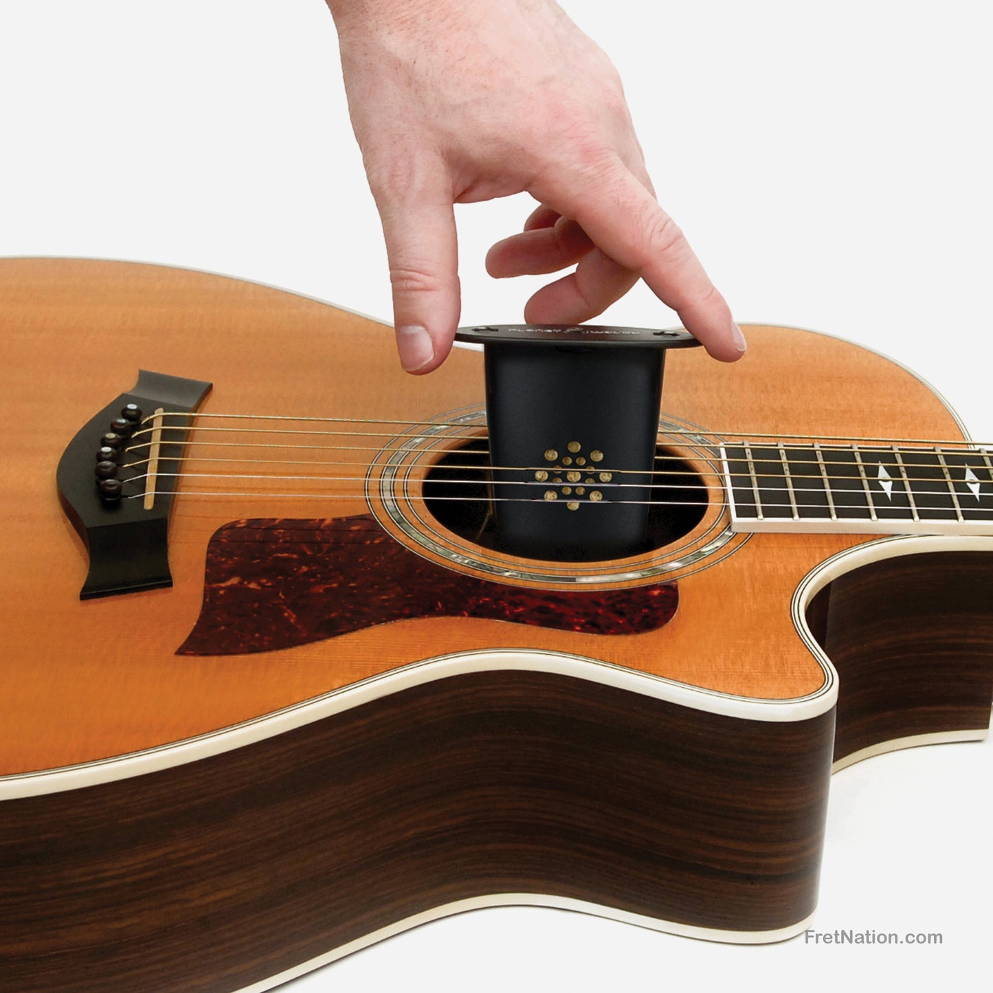 D'Addario D'Addario Acoustic Guitar Humidifier - GH