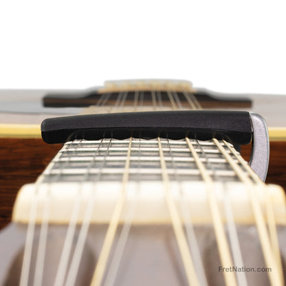 D'Addario D'Addario Pro Plus Capo Acoustic Guitar Electric Guitar 12 String - PW-CP-19S - Silver