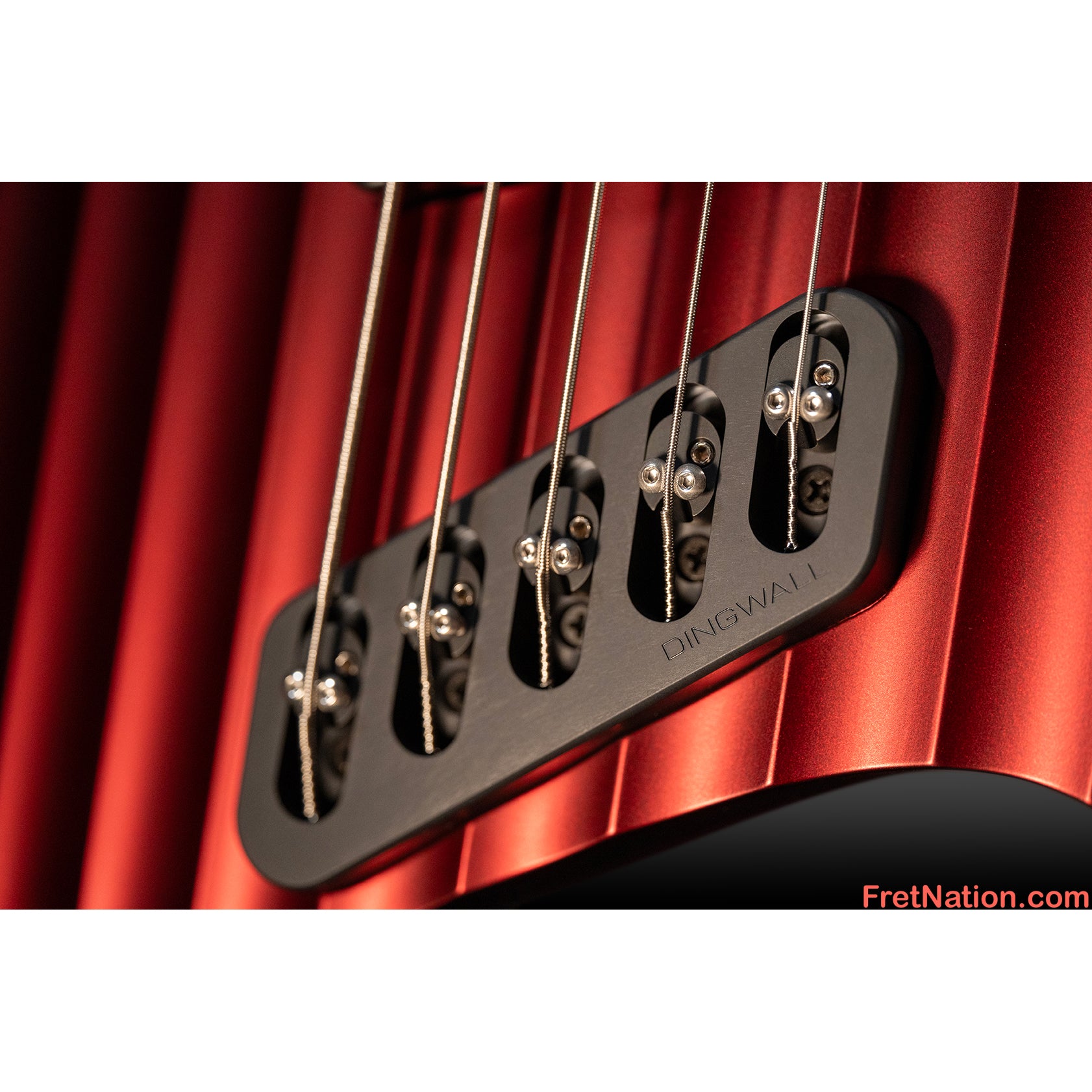 Dingwall Dingwall D-Roc 5-String Rob van der Loo Signature - Message us to Pre-Order