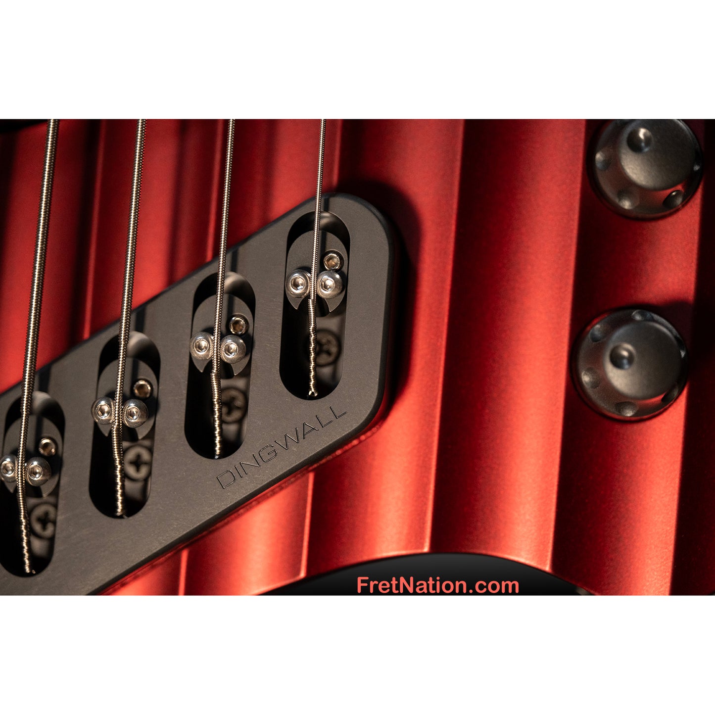 Dingwall Dingwall D-Roc 5-String Rob van der Loo Signature - Message us to Pre-Order