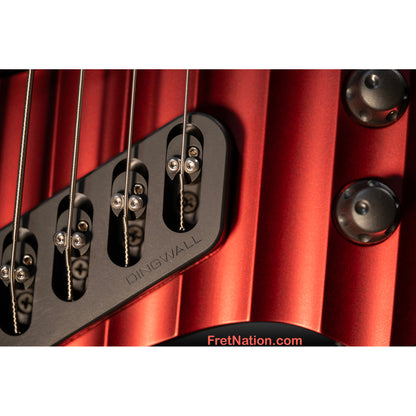 Dingwall Dingwall D-Roc 5-String Rob van der Loo Signature - Message us to Pre-Order