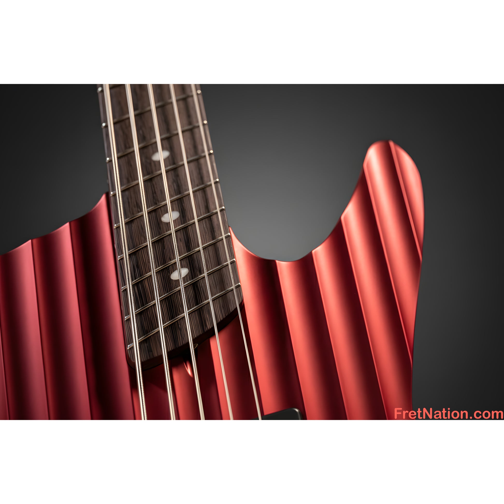 Dingwall Dingwall D-Roc 5-String Rob van der Loo Signature - Message us to Pre-Order