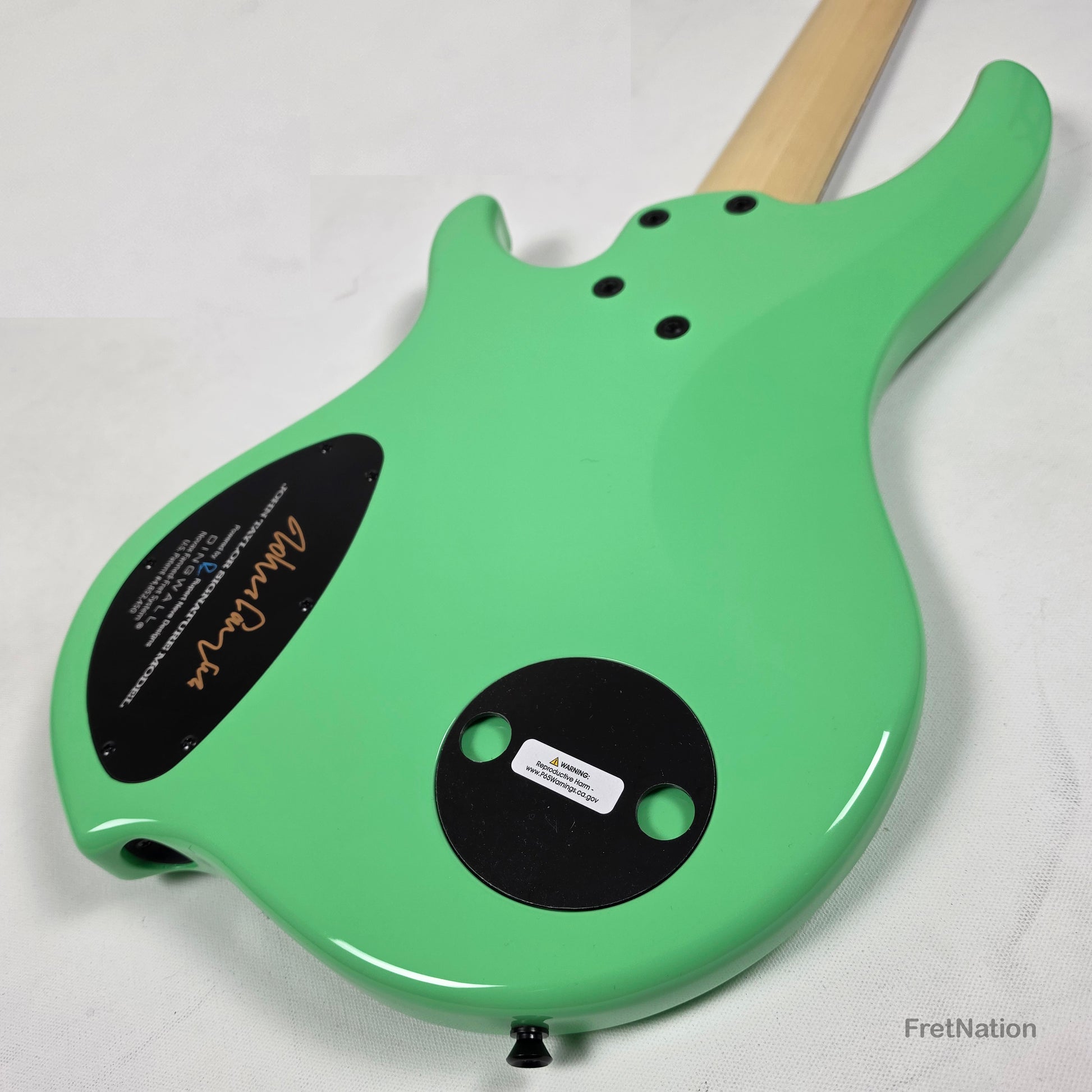 Dingwall Dingwall JT3 John Taylor 5-String Seafoam Green Bass - 9.56lbs #19792 - JT3 5 GS P SH