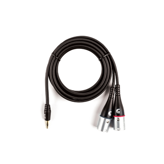 D'Addario D'Addario Custom Series 1/8 Inch to Dual XLR Audio Cable 6' - PW-MPXLR-06