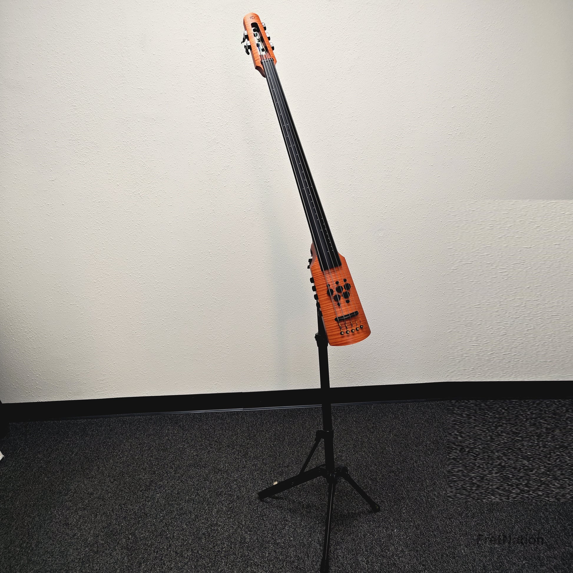 Fret Nation NS Designs CR Omni Bass 5-String Fretless - 6.66lbs - Pre-Owned