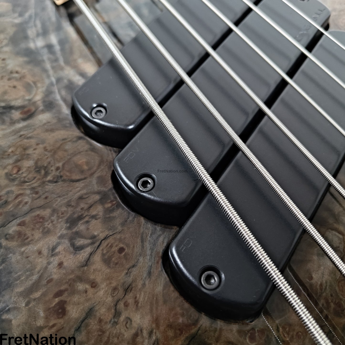 Fret Nation Dingwall Z3 6-String Bass Maple Burl Passive 9.42lbs #6673 Pre-Owned