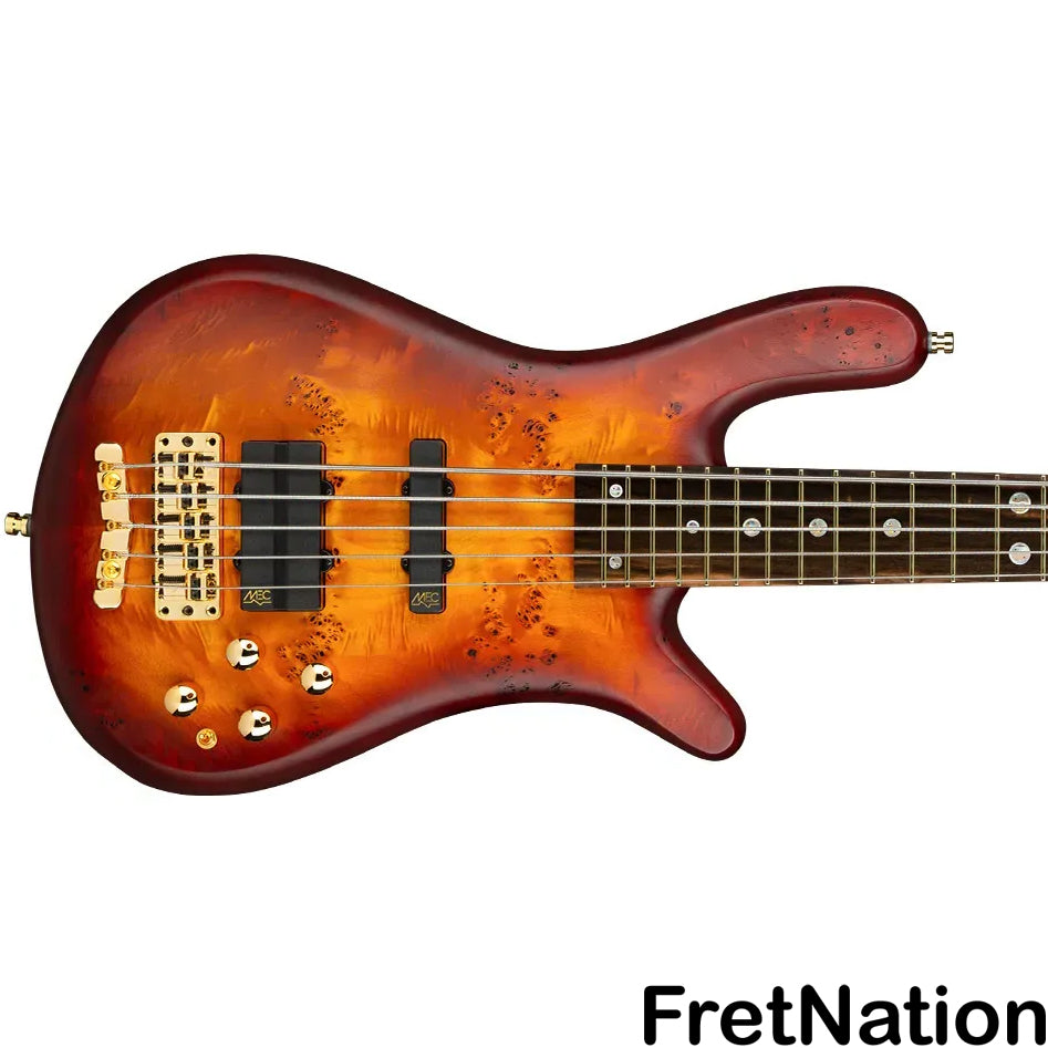 Warwick Warwick Teambuilt Streamer LX 2025 Limited 5-string - GPS0215 XXPAGXXX FR - ETA December 14