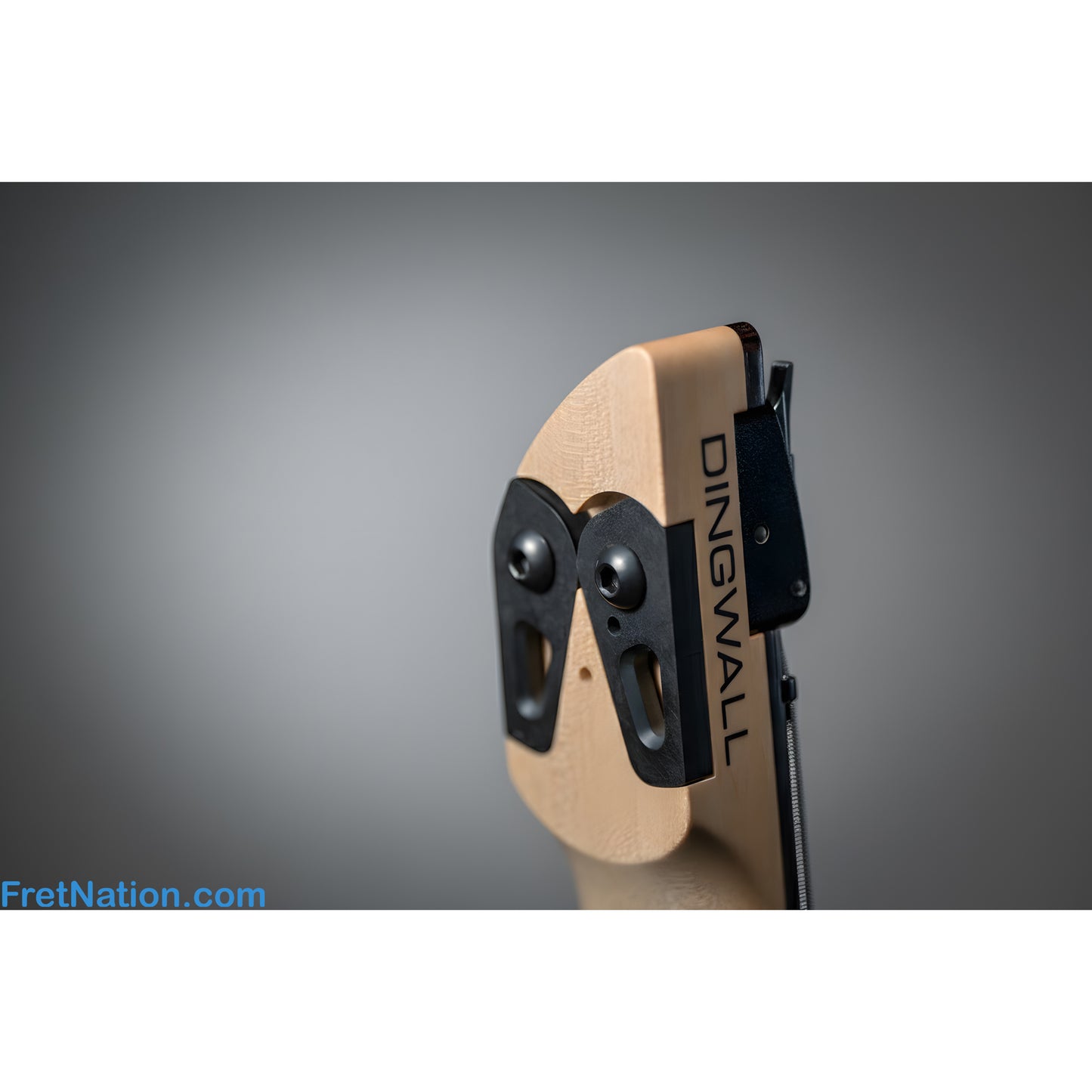 Dingwall Dingwall Effigy 5-String Headless Bass - Message us to Pre-Order