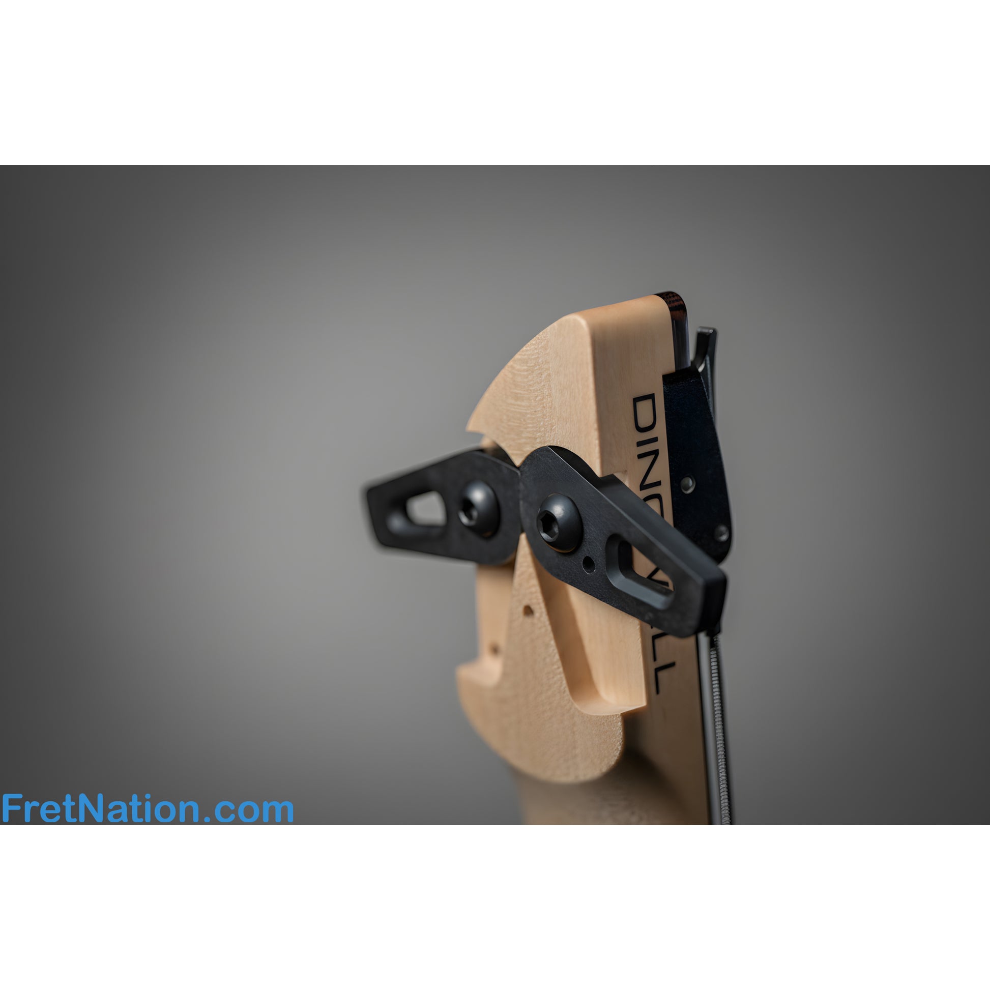 Dingwall Dingwall Effigy 5-String Headless Bass - Message us to Pre-Order